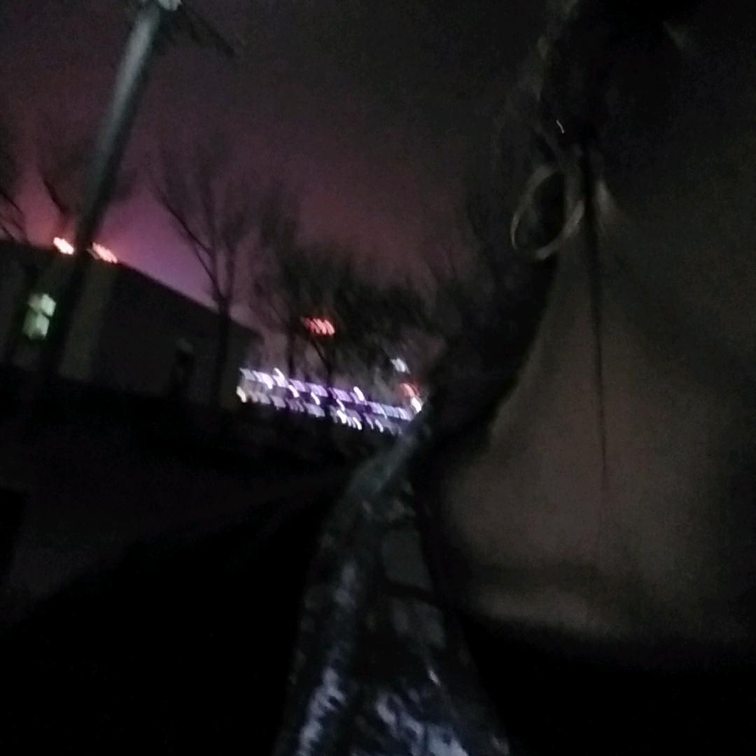 张張