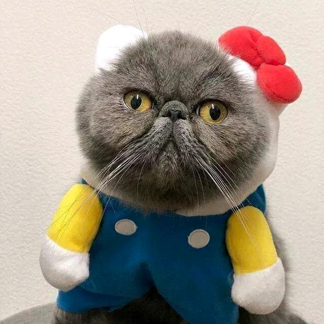 中国电信乌兰营业厅