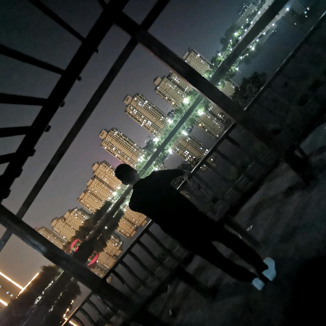 大熊🐻先生