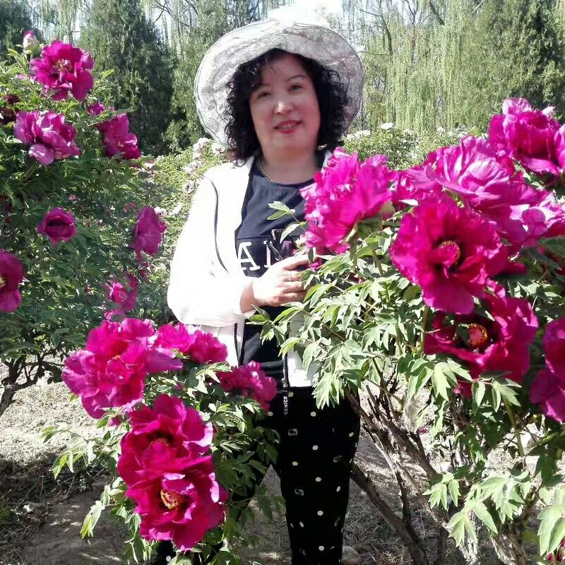 幽兰飘香