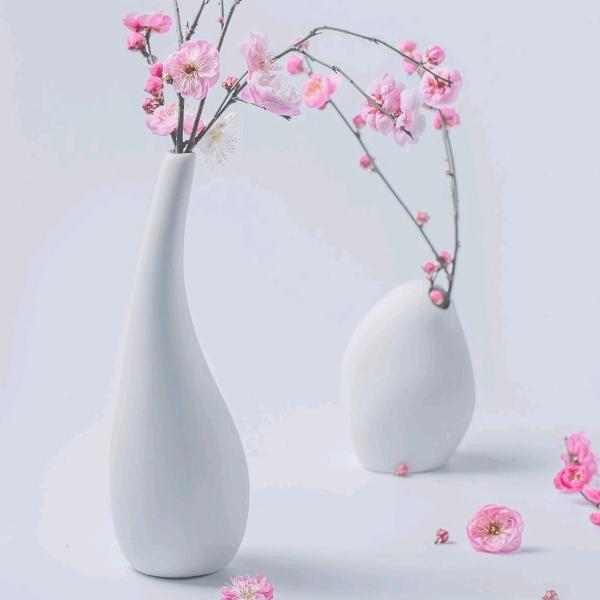 🌸糖心巧克力(拒私聊)
