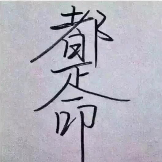 南漂一族
