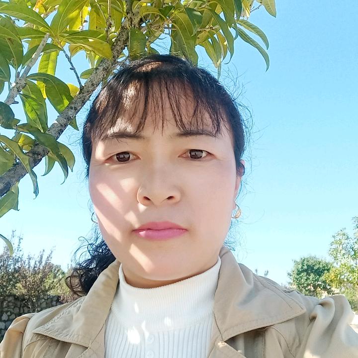 田记壹锅香羊汤锅