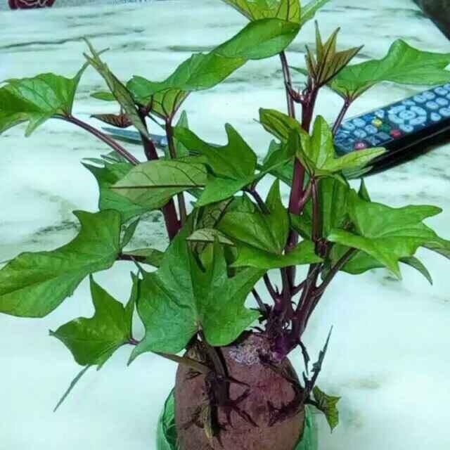 ～ 守护一辈子