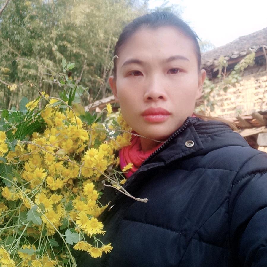 杨杨