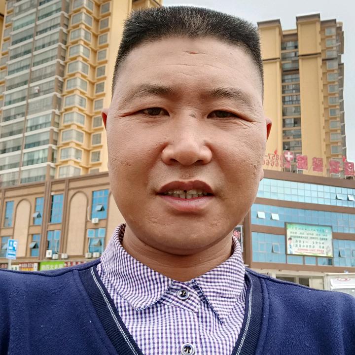 橦馨桐舟