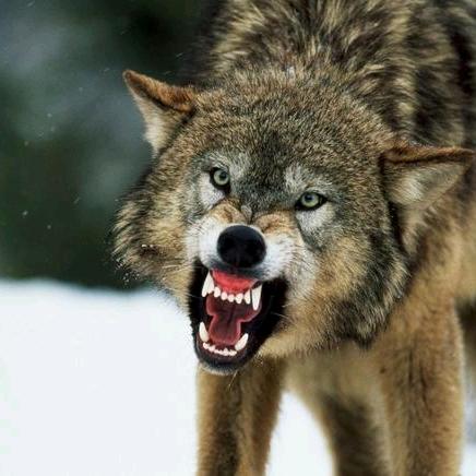 裴介海兵再生资源回收