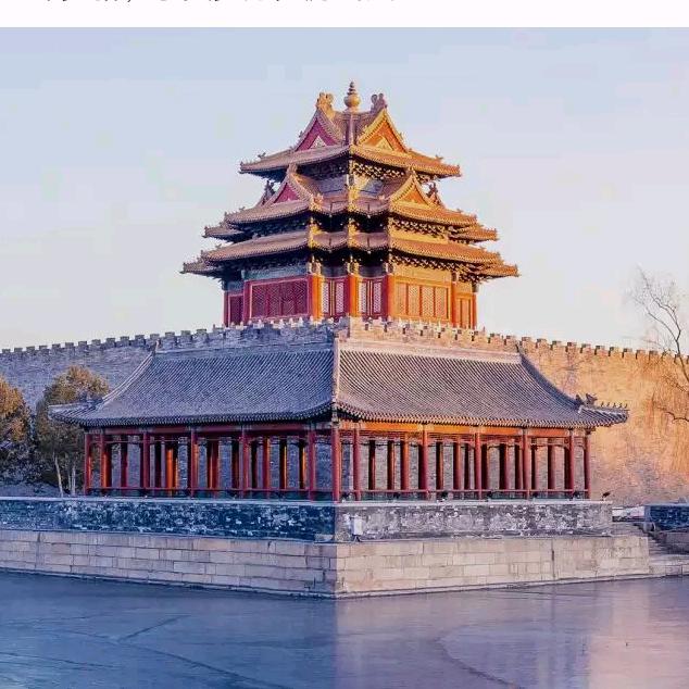 付民