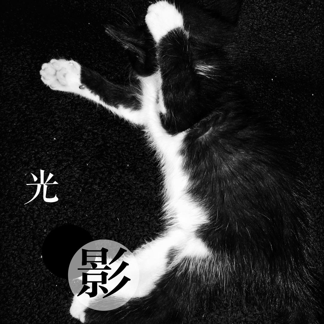 风一样自由 630