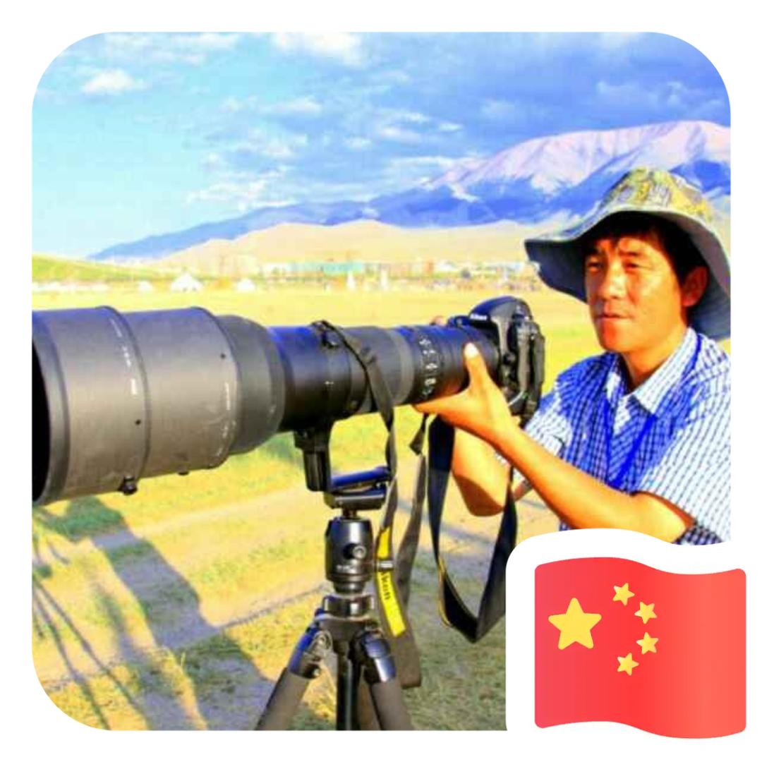 新星草原