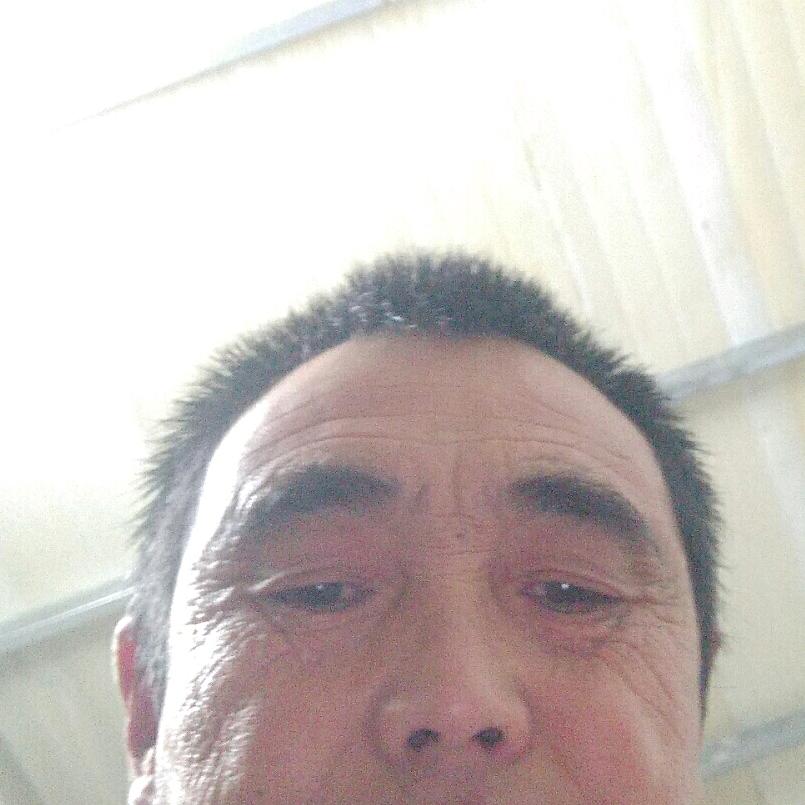 程相宇一我是你的太阳