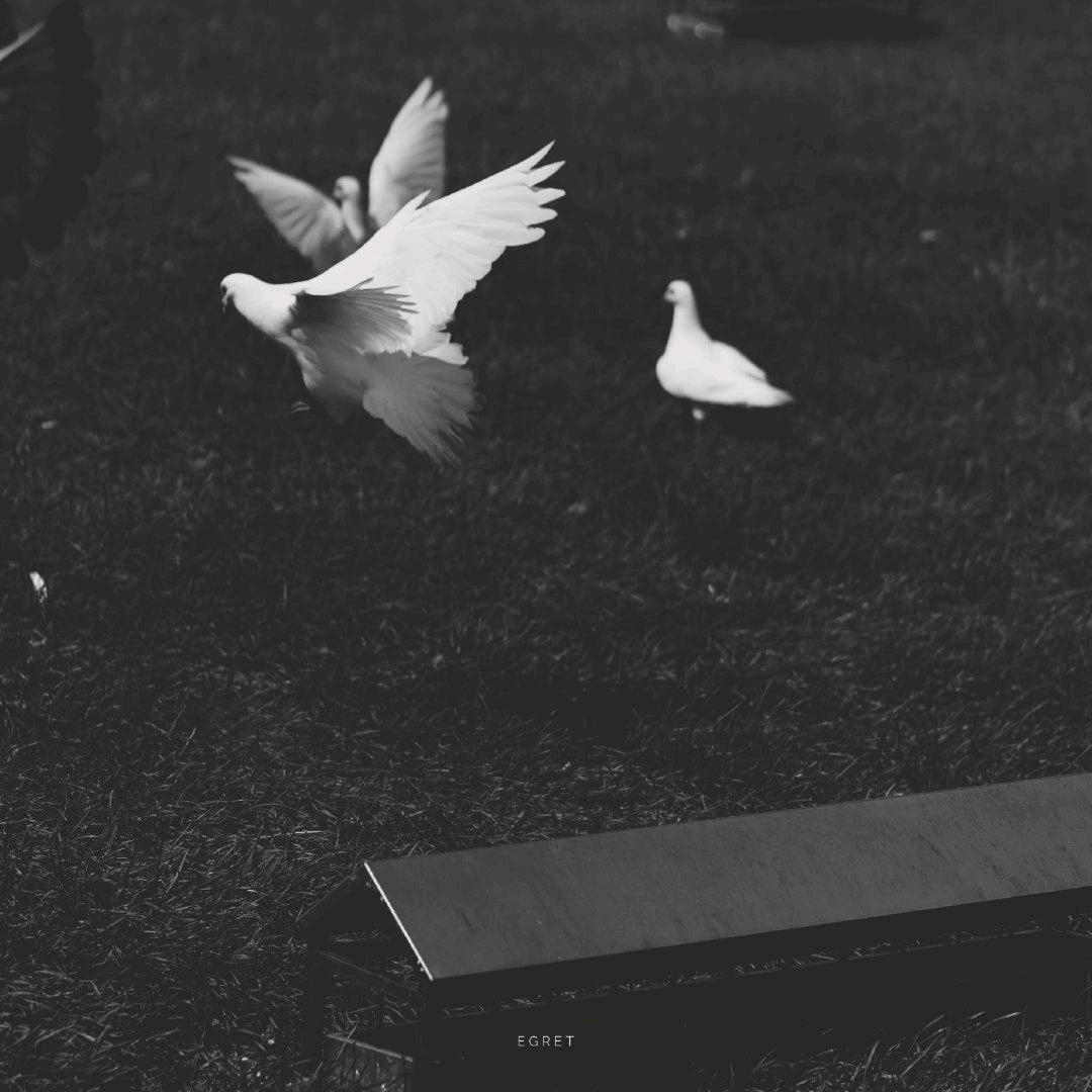 装满星星的彩色口袋