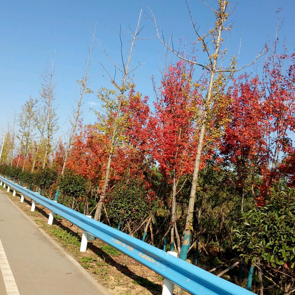 渠首拍客: