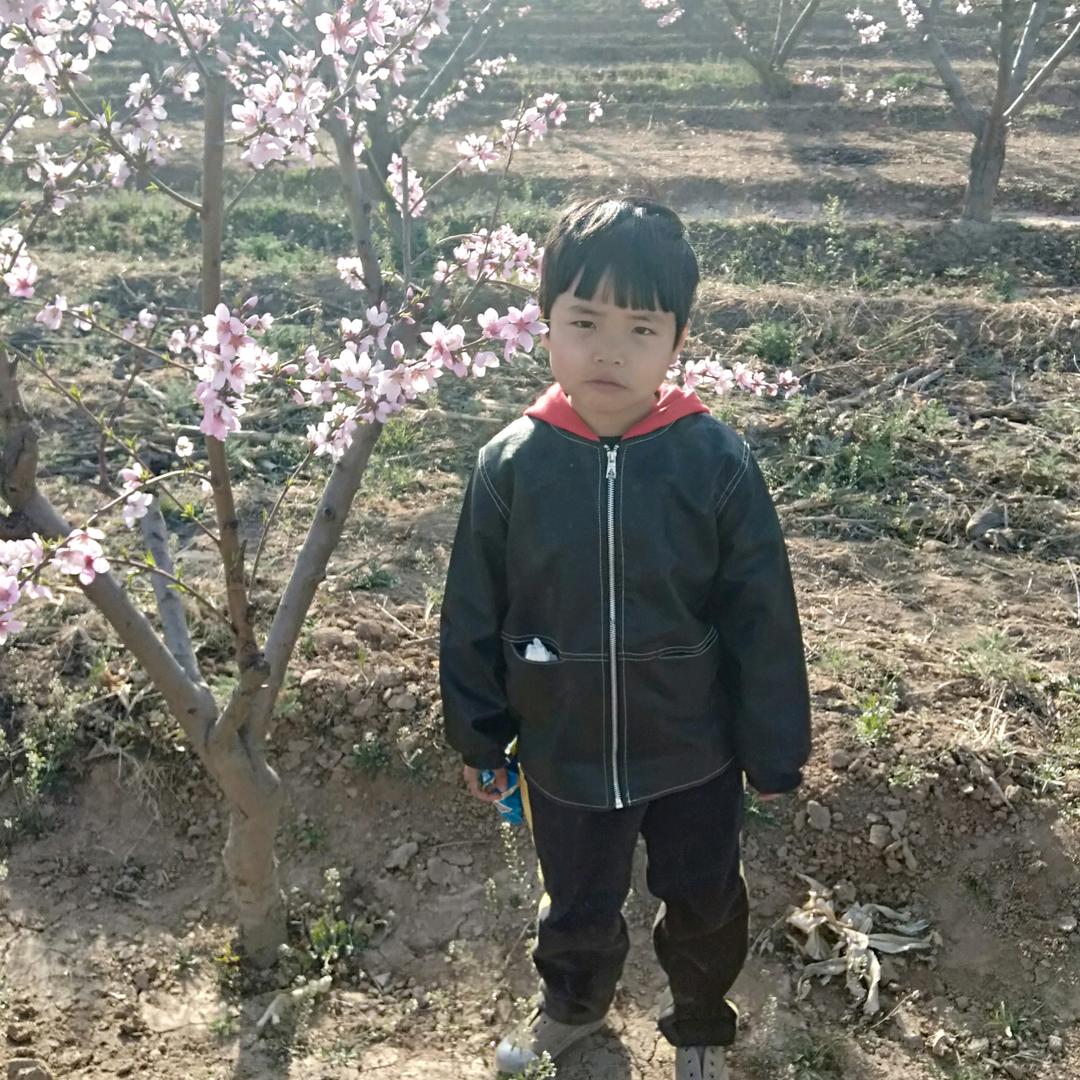 李梦涵
