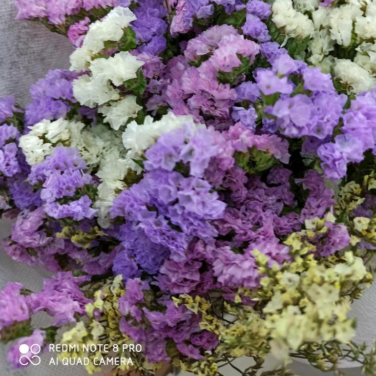 ❤️小龙女❤️