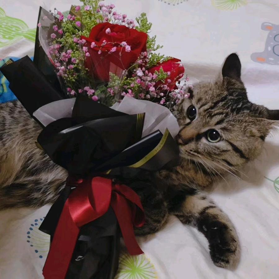 吃货中的香奈儿