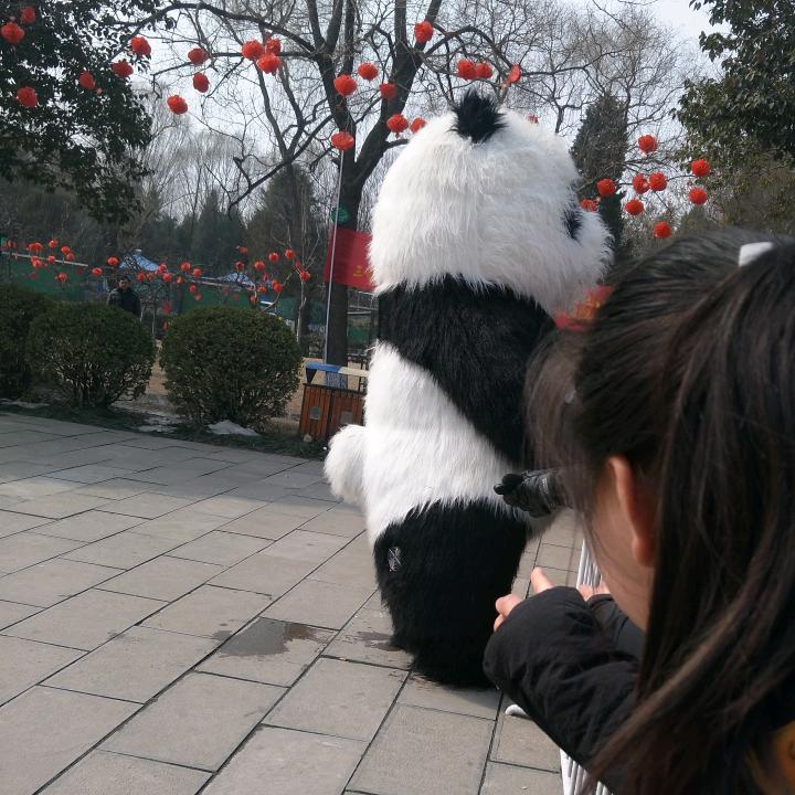 春暖花开