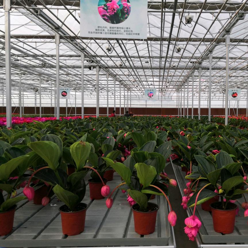 人字好写却难做！心字简单却难懂！