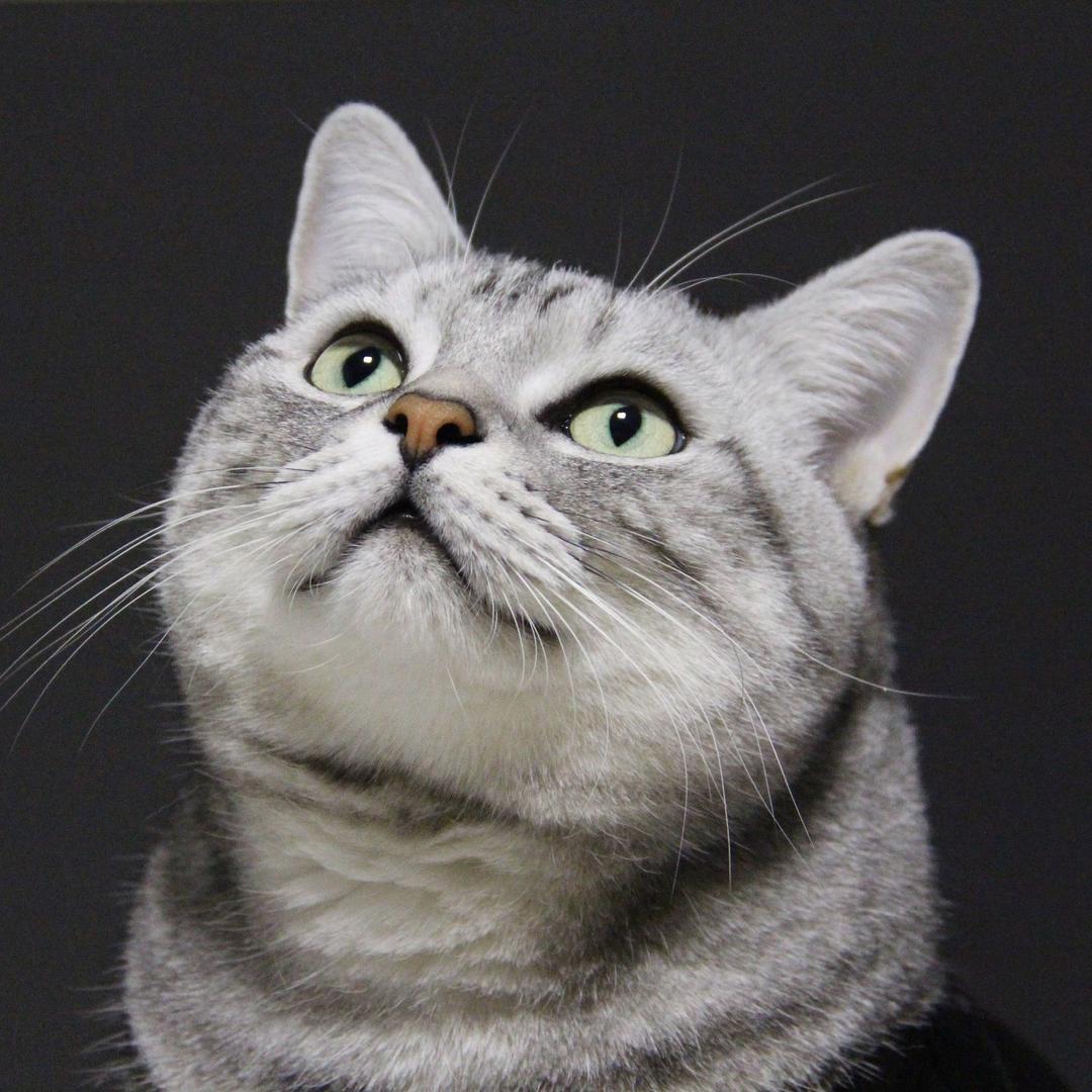 安生不安生@抖音