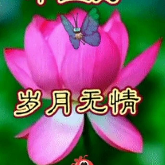 岁月无情🌺