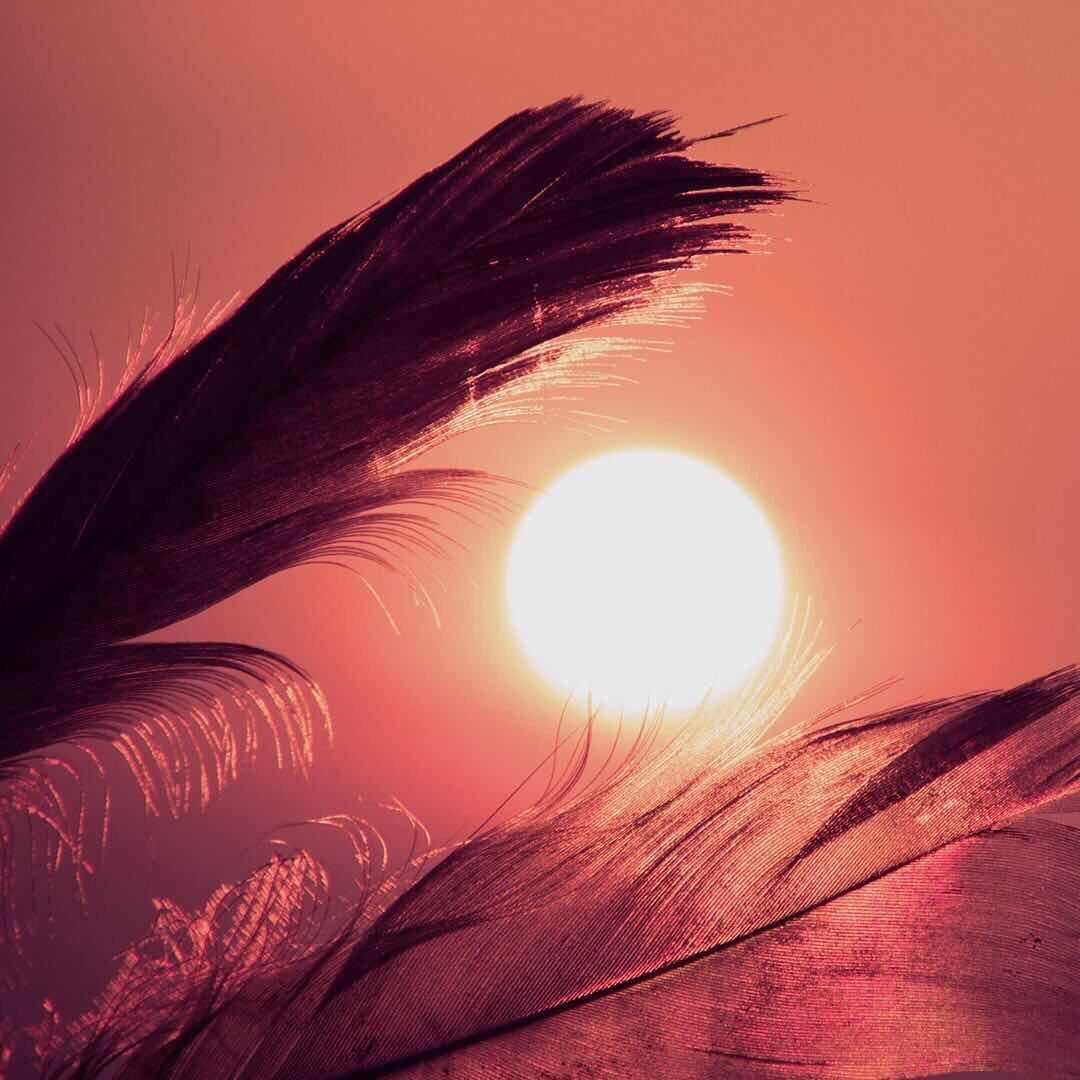 白水