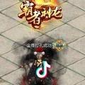 自由幻想金商打孔