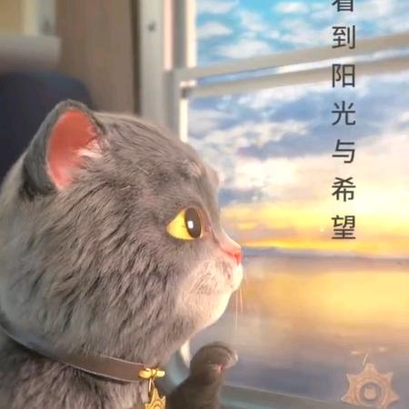 胡文泽