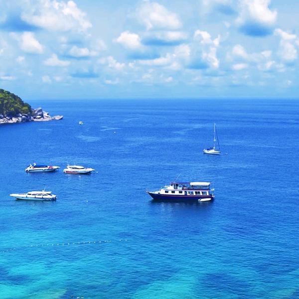 积跬步至千里解放轻卡