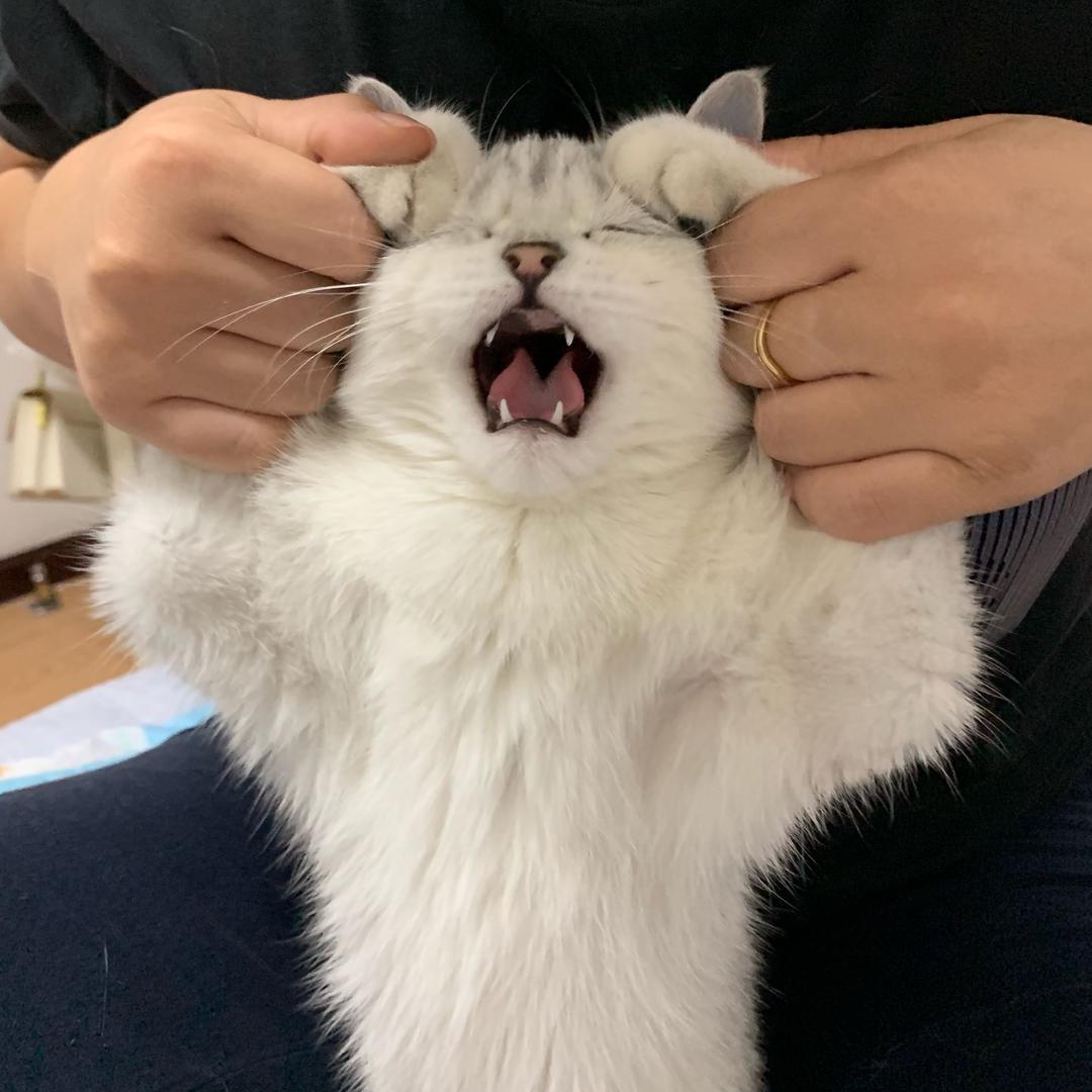搁浅