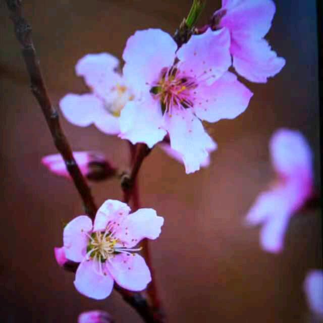 雨晴