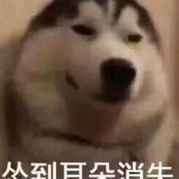 哲 野