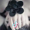 菊菊