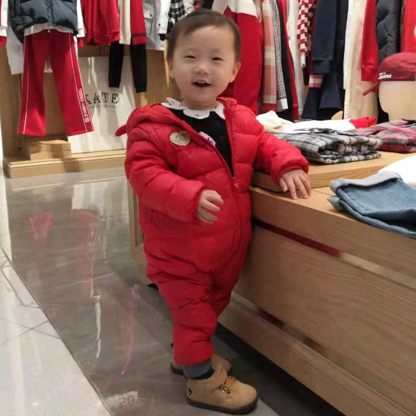 Wibear