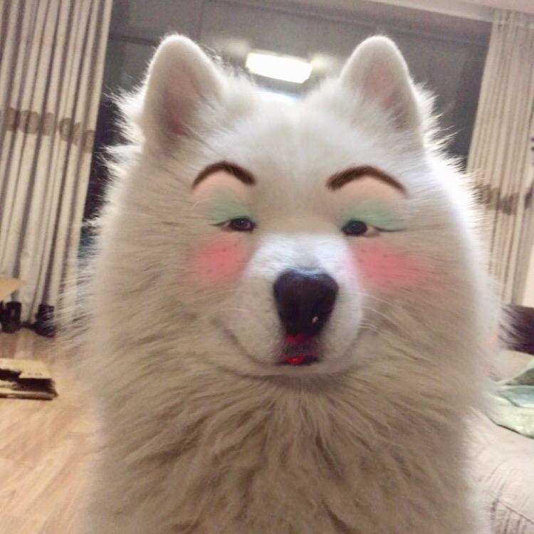 妞妞是男孩