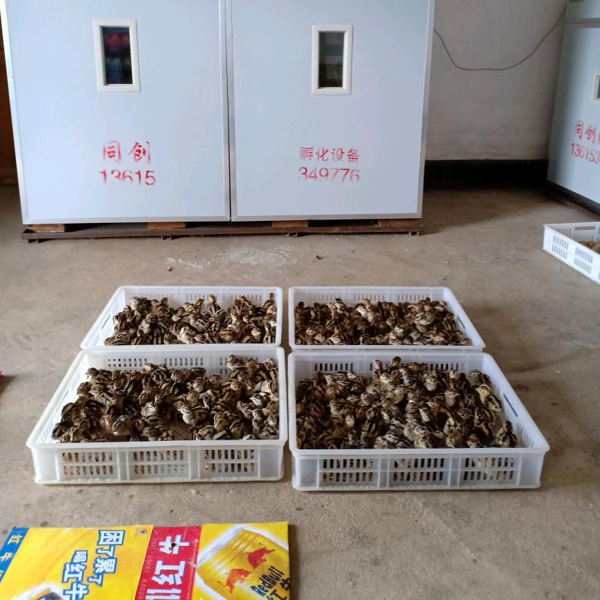开心就好。