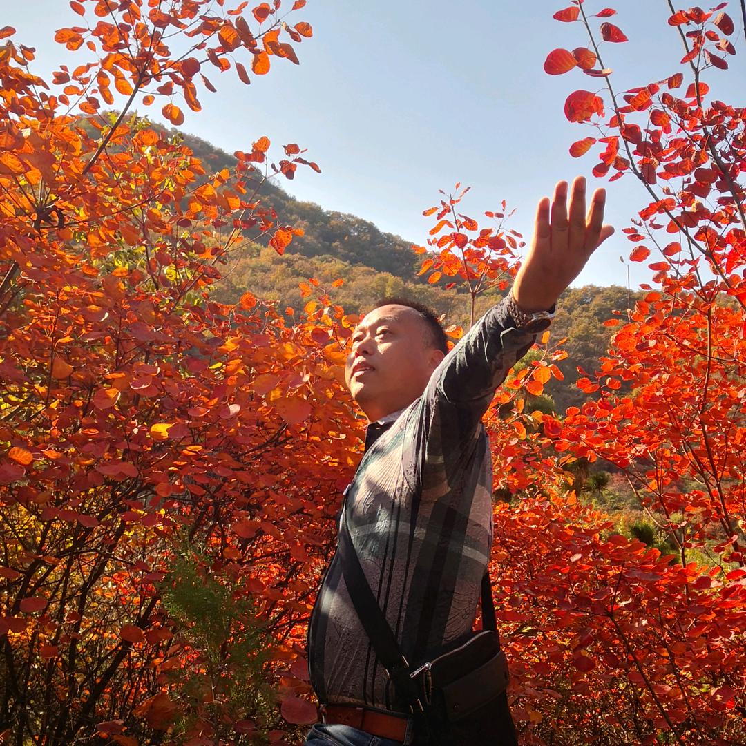 山水郎