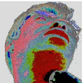 也涂