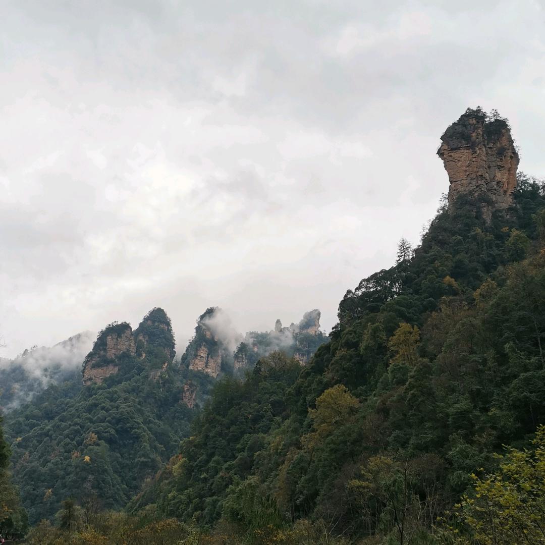 咖啡