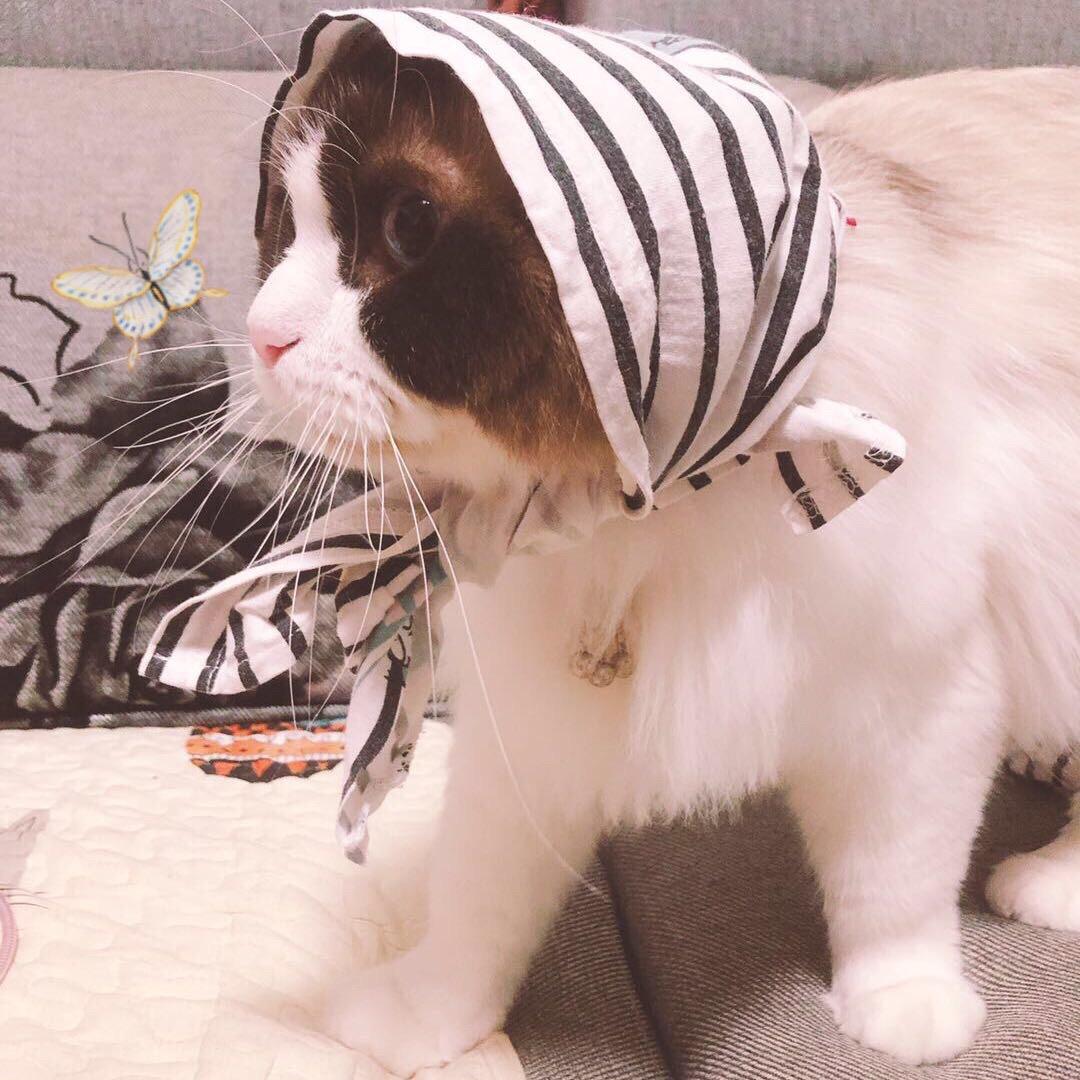 ᥫᩣ Memory 🌙 . 星