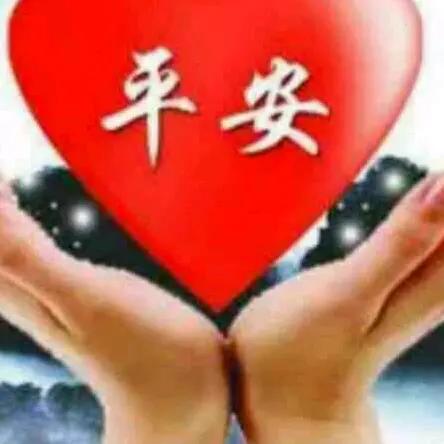 我的人生