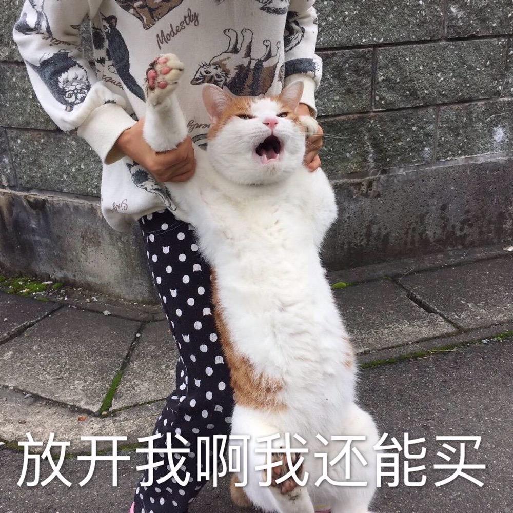 走啊去潜水啊喂