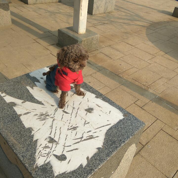 天行健之自强