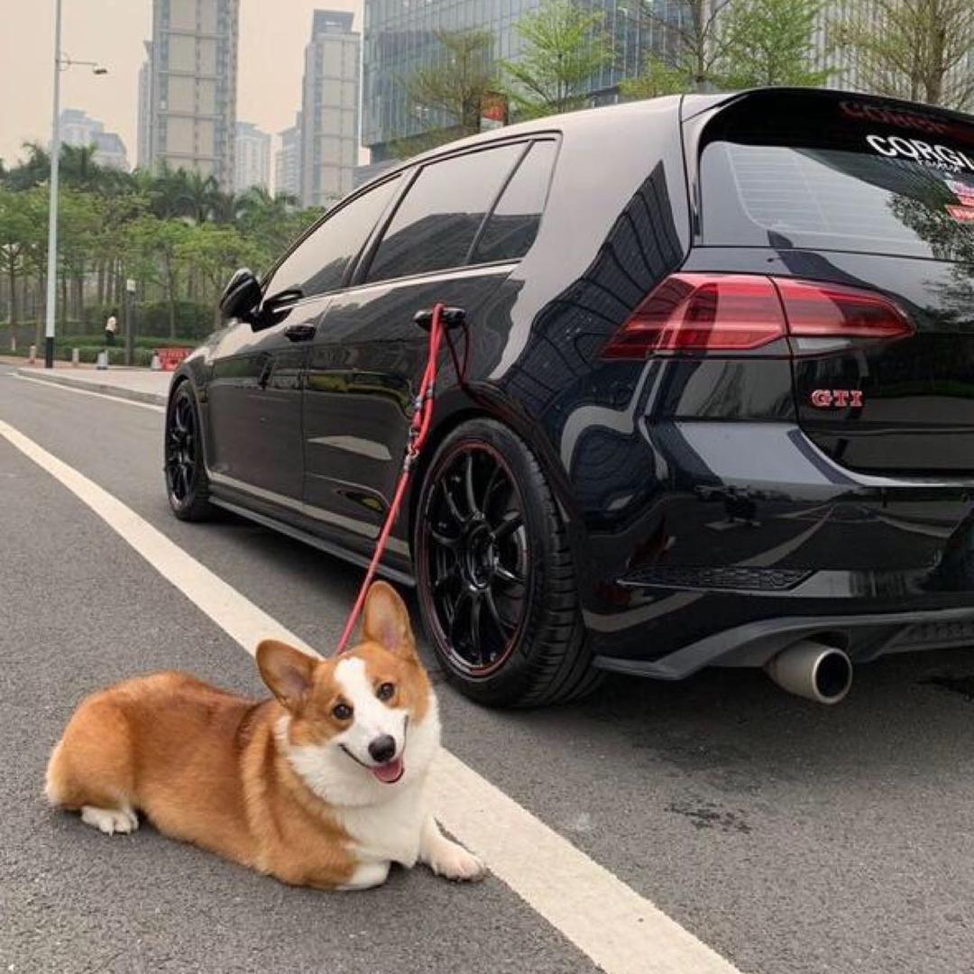 你还睡什么觉啊