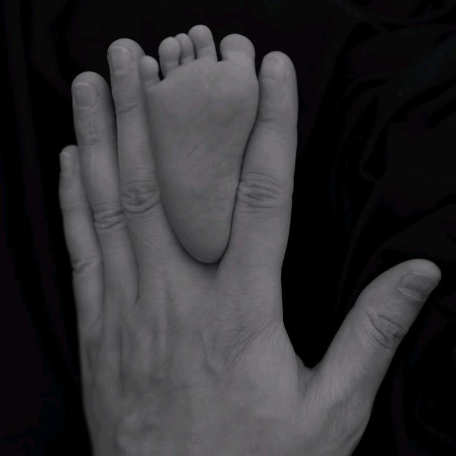 鱼鱼鱼鱼鱼鱼鱼