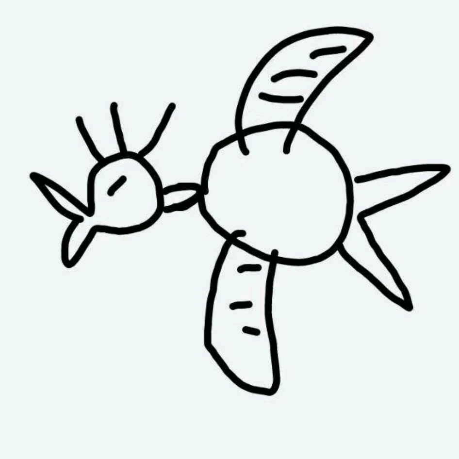 小五哥(●—●)