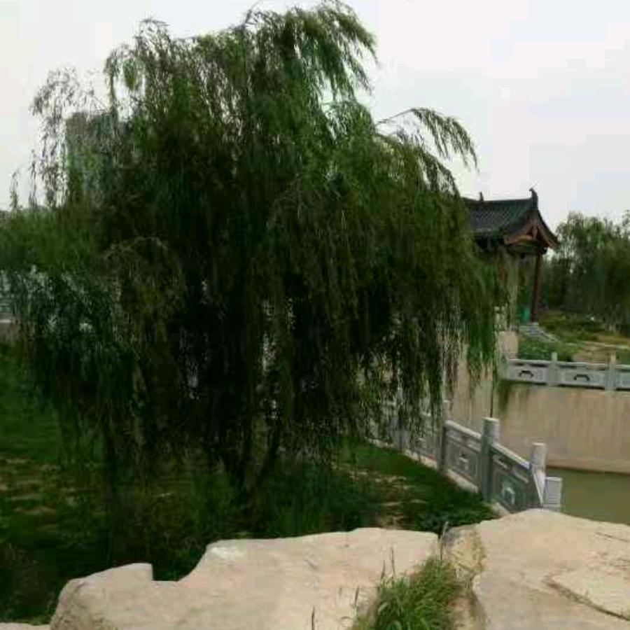 水上人家