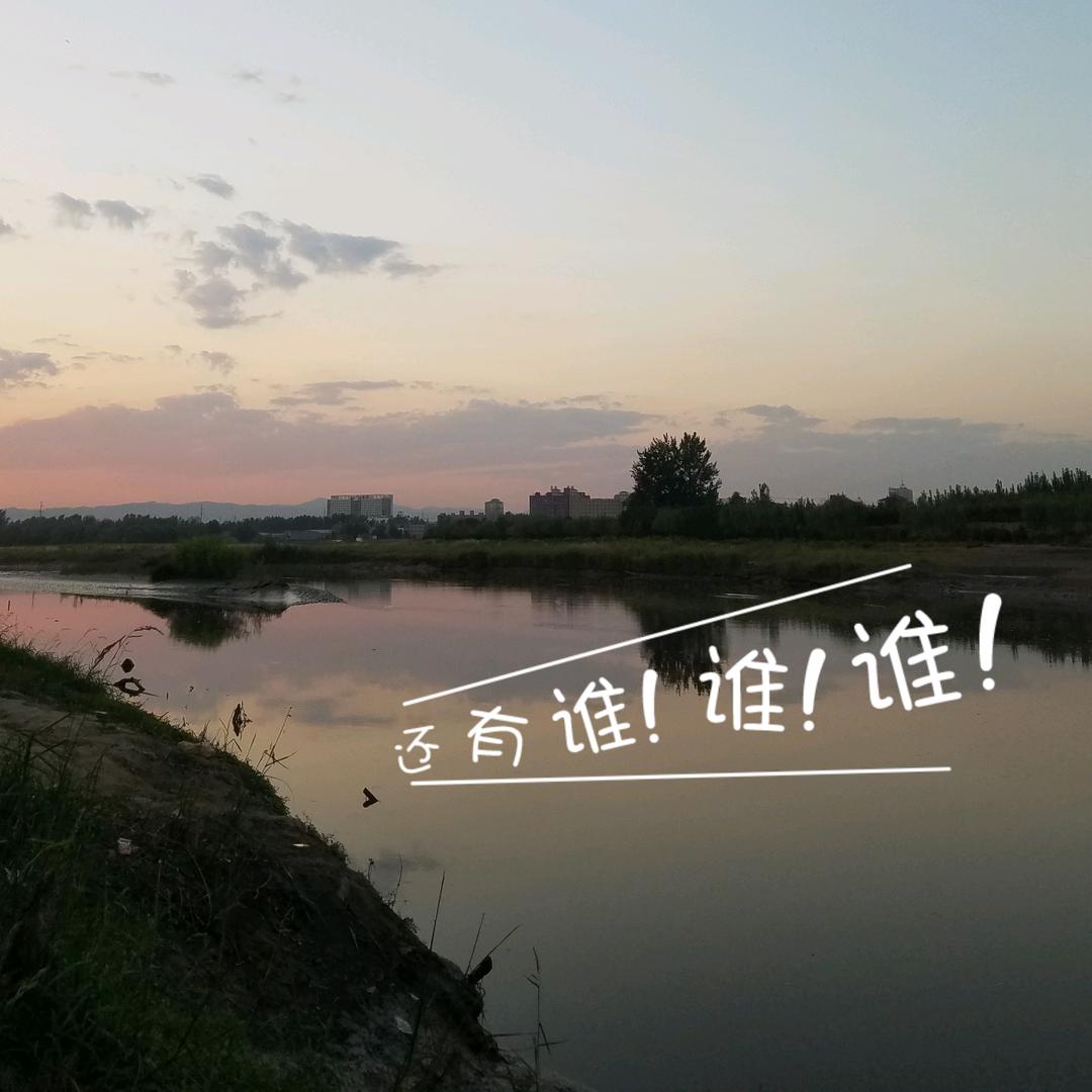 好运来🍀