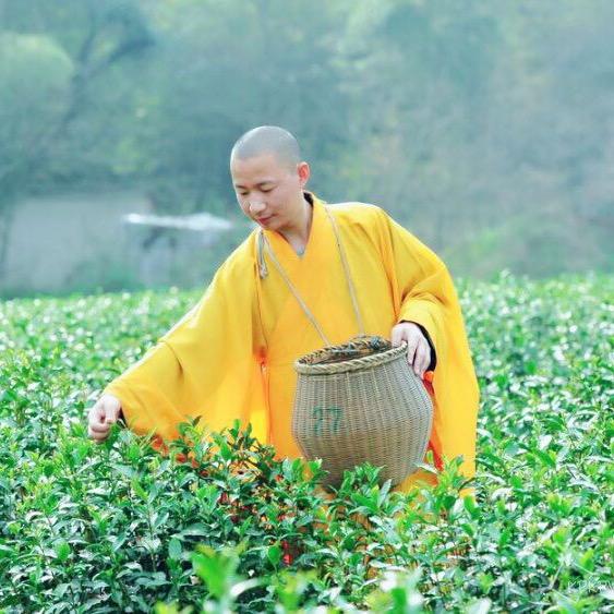 摄影的小和尚@抖音