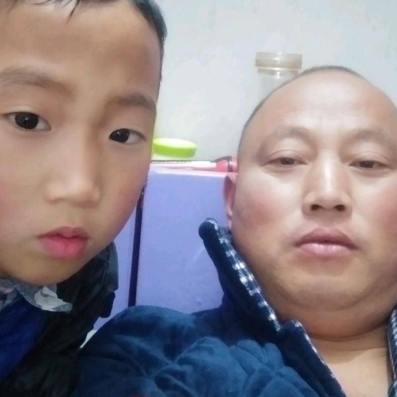 嘉禾万事兴