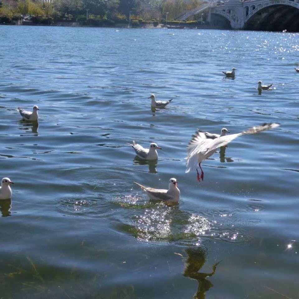 相逢是缘